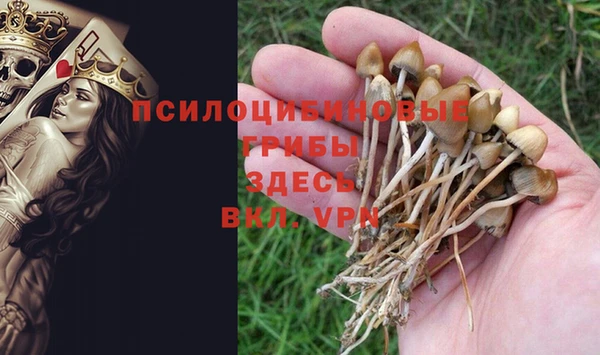 скорость Волосово