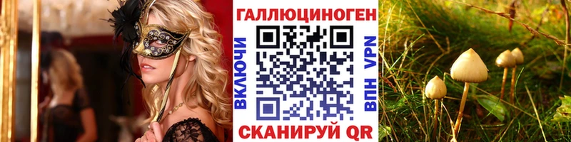 MEGA сайт  Боровичи  Галлюциногенные грибы Psilocybe 